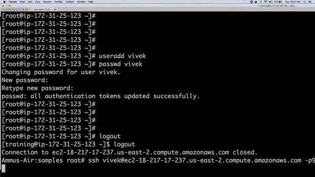 Linux Basics | DevOps Tutorial For Beginners смотреть онлайн