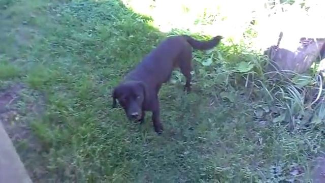 солнечный коллектор для дачи смотреть онлайн