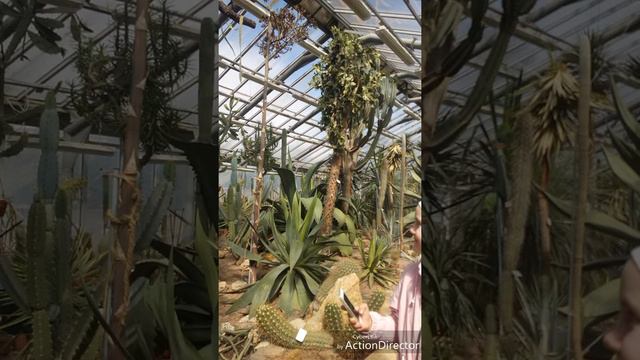Фотки с батанического сада и зоопарка смотреть онлайн