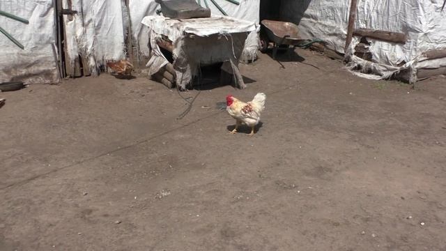 Направляемся в д Воскресенск .