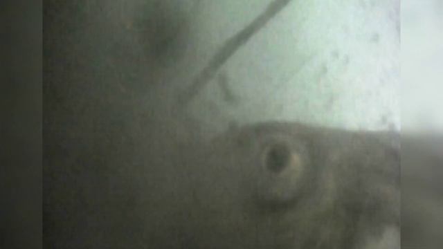 как поймать карася зимой смотреть онлайн