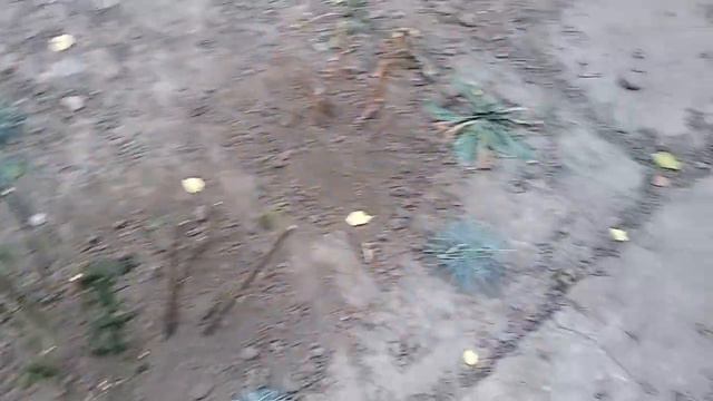Пришёл заказ роз последний в этом году 18.11.2020 смотреть онлайн