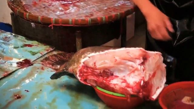 Гонконг Морепродукты - Разделка 40КГ Дикого Морского Окуня смотреть онлайн