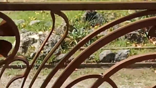 дача Горбачева в Мюсэре смотреть онлайн