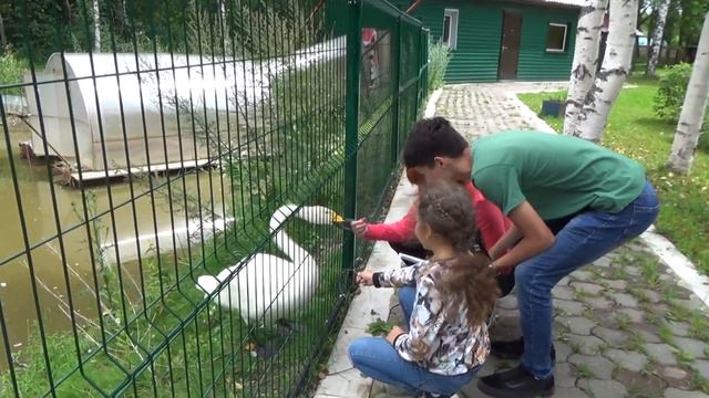 2017 г Междуреченск смотреть онлайн