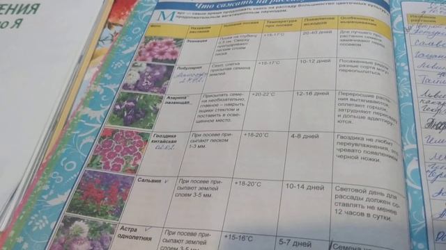 Сроки посева семян Цветочный календарь смотреть онлайн