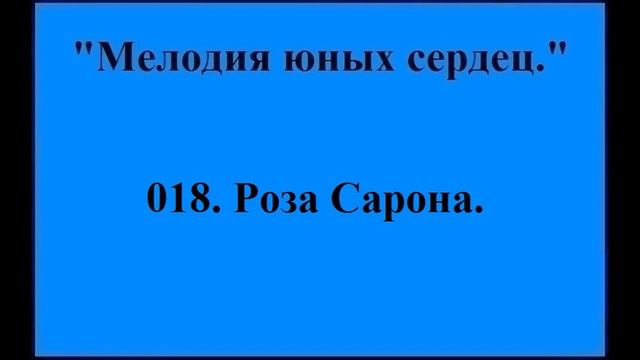 018 Роза Сарона