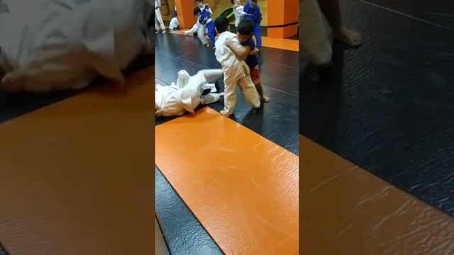 Дзюдо спаринг смотреть онлайн