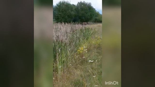 Как сделать каракат!!! Супер видео! Вездеход Каракат плавающий! смотреть онлайн