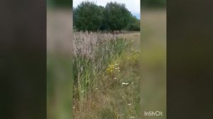 Как сделать каракат!!! Супер видео! Вездеход Каракат плавающий!