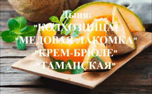 Как сажать дыни на рассаду.Сорта: "Колхозница","Медовая лакомка"."Крем-брюле","Таманская".