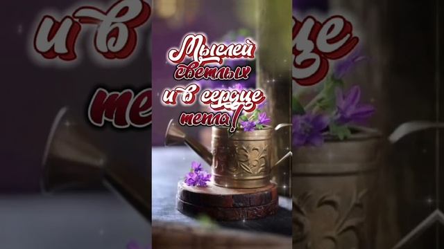 ДОБРОГО ВАМ ВЕЧЕРА.. смотреть онлайн