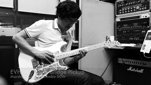 EVH Wolfgang Pickups Sound Sample Part 2 смотреть онлайн