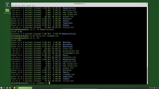 Linux Command Line (09) Moving and Renaming Files and Directories смотреть онлайн