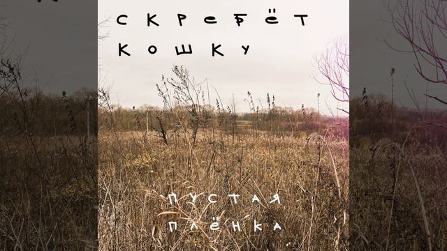 Радио смотреть онлайн