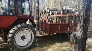 А. Т-25 возим дрова