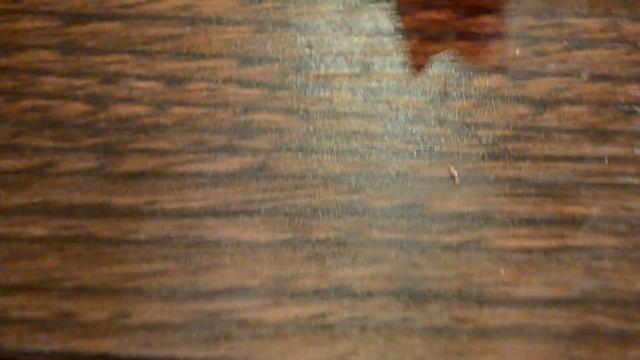 Вредители орхидей МУЧНИСТЫЙ ЧЕРВЕЦ! смотреть онлайн