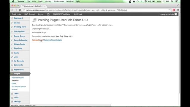 SNO FLEX Custom User Permissions смотреть онлайн