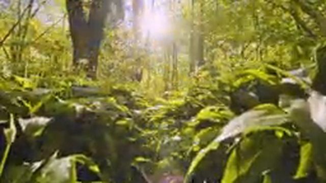 лечебная музыка для сердца и сосудов - успокаивает нервную систему и радует душу, Нежная музыка #1 смотреть онлайн