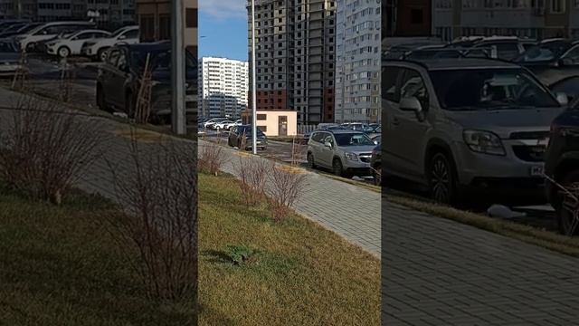 ЖК Черноморский Новороссийск смотреть онлайн