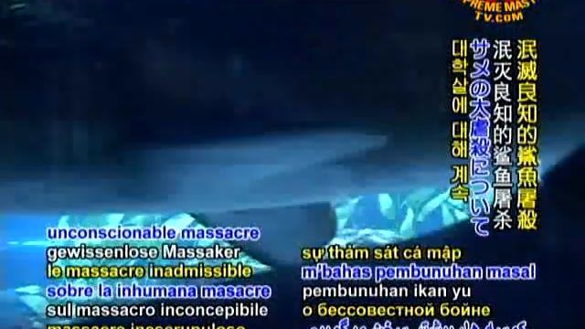 停止虐待动物～絕望的深淵：割除鯊魚鰭的殘酷罪行