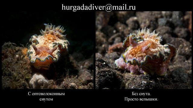 Оптоволоконный снут с лазерным прицелом. ч2 смотреть онлайн