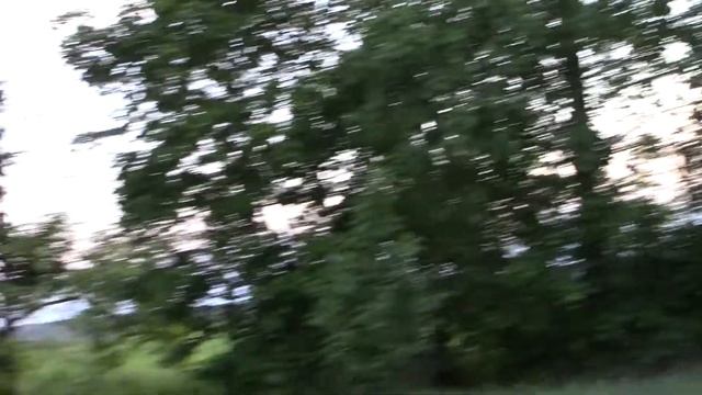 Цветы акации 24 мая 2021 года смотреть онлайн