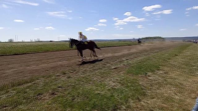 Дуванский Сабантуй 2021 (Скачки) смотреть онлайн