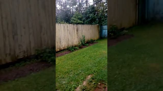 ливень в москве 15-08-2016 +14 смотреть онлайн