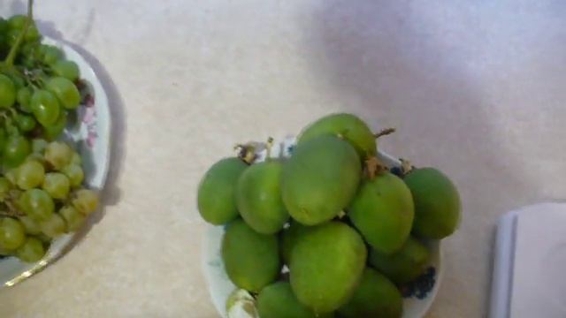 маракуя СЕВЕРНАЯ массово СОЗРЕВАЕТ в Мариуполе. Super harvest passion fruit ! смотреть онлайн