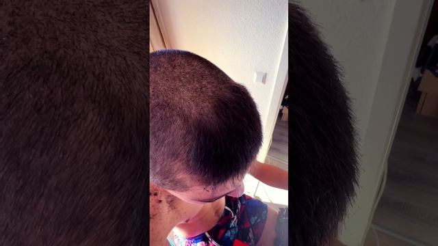 «Стрижка бесплатно» людей в Германии #прическа #начинаюший #2023shorts #германия #trend #shorts смотреть онлайн