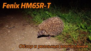 Fenix HM65R-T обзор и реальные впечатления