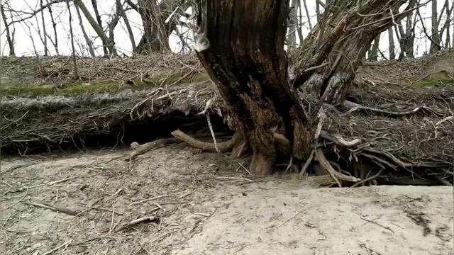 Остров Дурниха. Москва река. смотреть онлайн