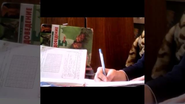 Как сделать уроки за 5 мин? смотреть онлайн