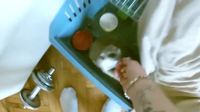 Обычный день из жизни суриката смотреть онлайн