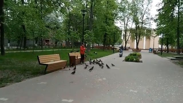 А я хочу опять по крышам бегать, голубей （курлык-курлык） гонять！часть 2 смотреть онлайн