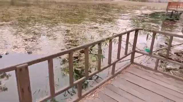 Tau Devi Lal herbal natural Park khizrabad Yamuna Nagar смотреть онлайн