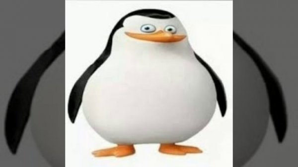 Wait wait wait what the hell