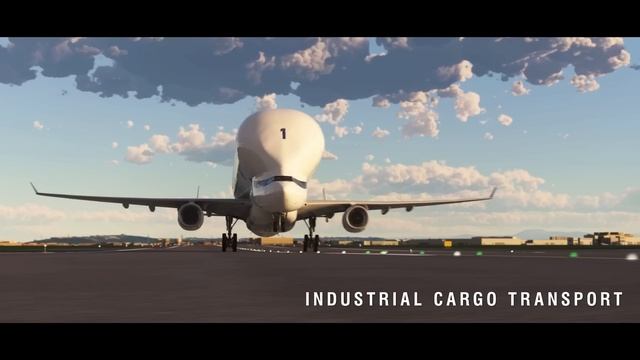 Главный Вопрос к Microsoft Flight Simulator 2024 смотреть онлайн