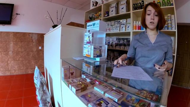 ♥VS БУБА Новая стрижка нашей кошки! Видео для детей! Забавные домашние животные До и после… смотреть онлайн