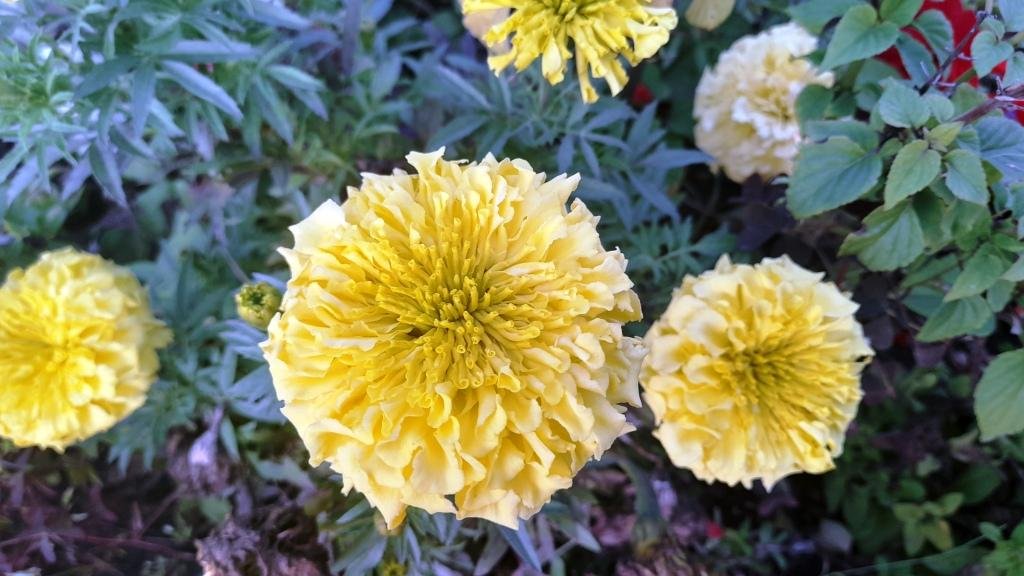 ВАЛЬС ..mp4 смотреть онлайн