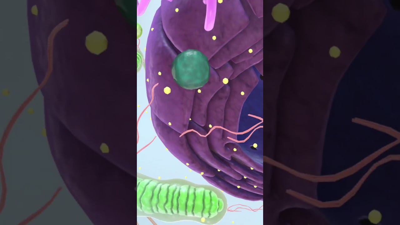 Приложения по биологии