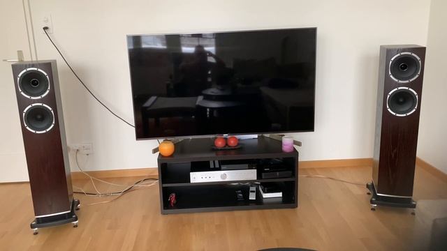 Fyne Audio f501+music hall+node N130 смотреть онлайн