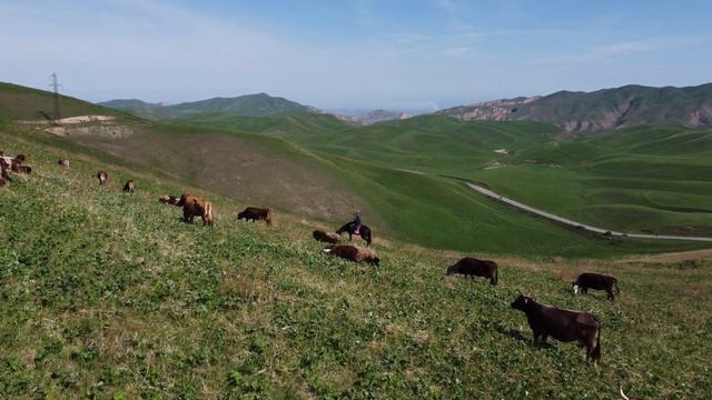 4K Kyrgyzstan , Теплые ключи, весна 2021. смотреть онлайн