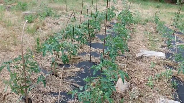 Строительные Перемены