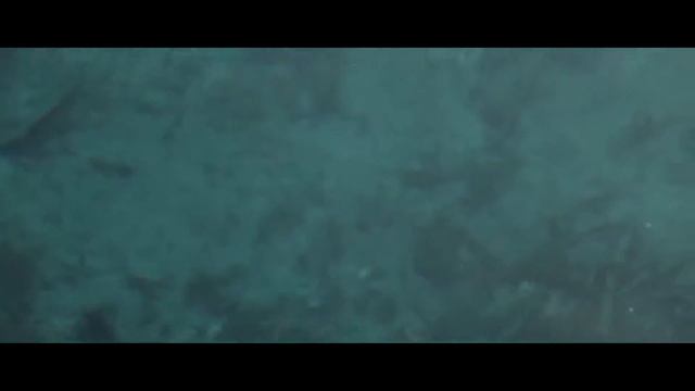 Никах Ильшат & Илюса смотреть онлайн