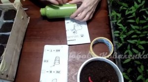 Быстро и бесплатно !Как сделать  стаканы для рассады любого размера!