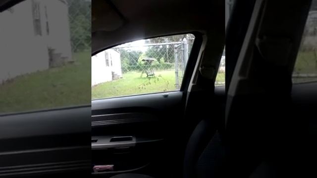 Random journey Day 1 смотреть онлайн