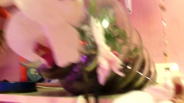 Орхидеи. Райская красота моих растений! смотреть онлайн