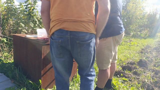 как надо жить на халяву,Питбуль и чихуа против дворняжек,занятия питбуля и булли смотреть онлайн